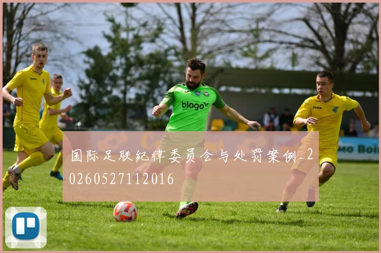 国际足联纪律委员会与处罚案例_20260527112016